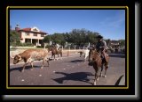 usa2005 251 * Stockyards * 3070 x 2046 * (753KB)